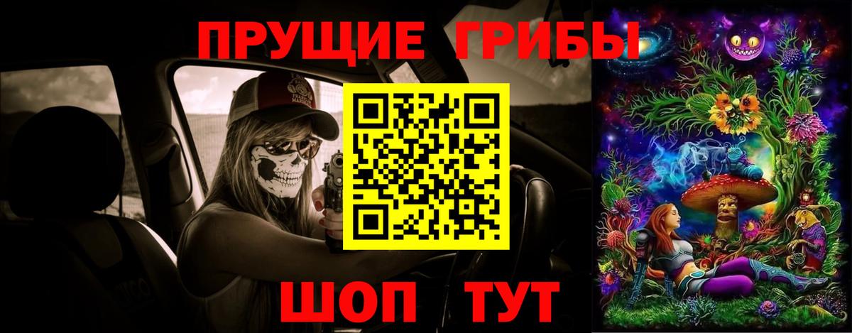 Галлюциногенные грибы GOLDEN TEACHER  Вход с VPN  Сертолово 