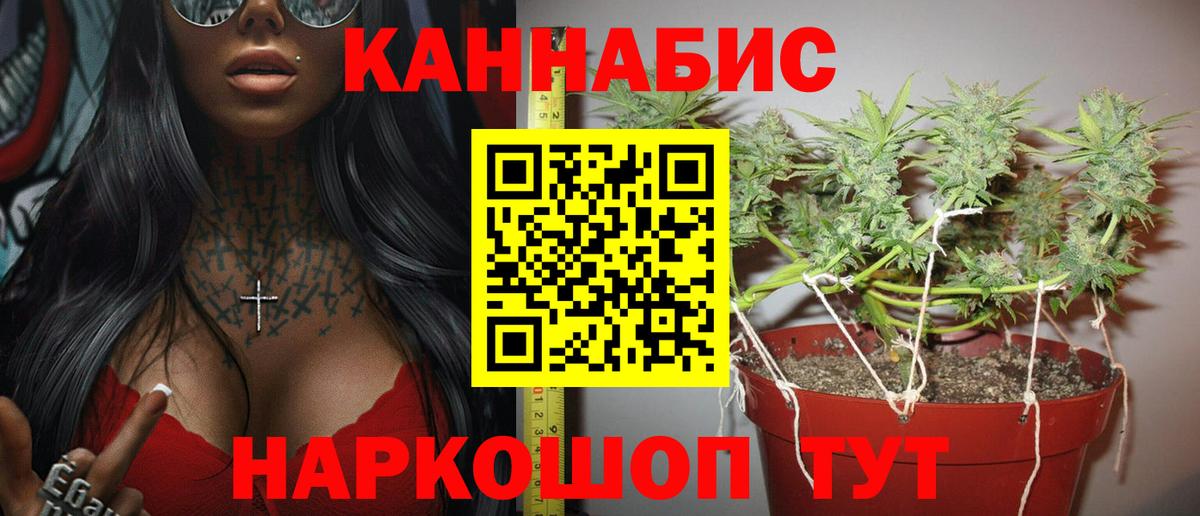 Каннабис Ganja Сертолово